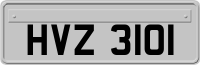 HVZ3101