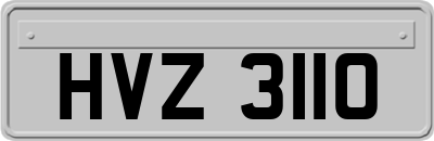 HVZ3110