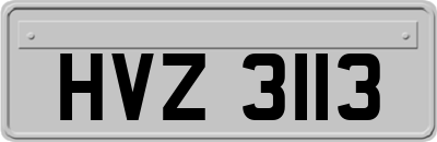 HVZ3113