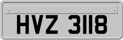 HVZ3118