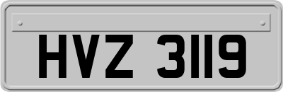 HVZ3119