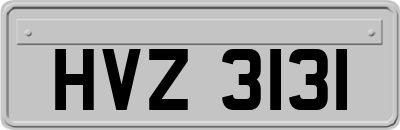 HVZ3131