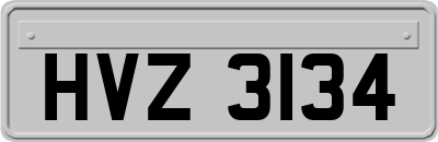 HVZ3134