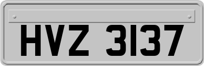 HVZ3137