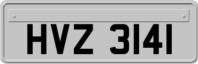 HVZ3141