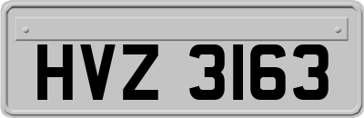 HVZ3163