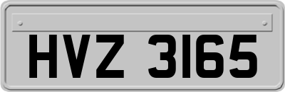 HVZ3165