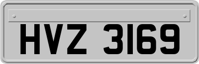 HVZ3169
