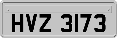 HVZ3173