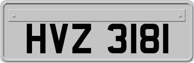 HVZ3181