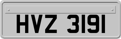 HVZ3191