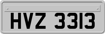 HVZ3313