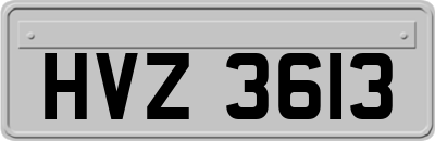 HVZ3613