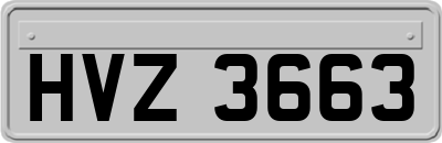 HVZ3663