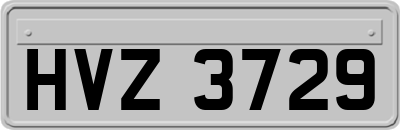 HVZ3729