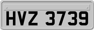HVZ3739