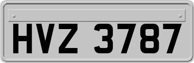 HVZ3787