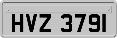 HVZ3791