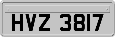 HVZ3817