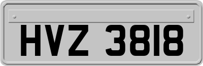 HVZ3818