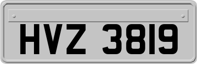 HVZ3819