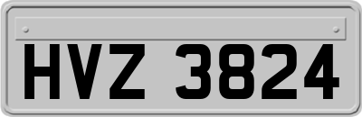 HVZ3824
