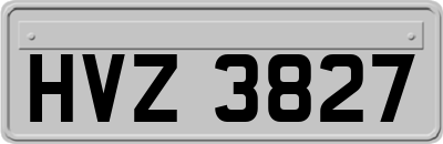 HVZ3827