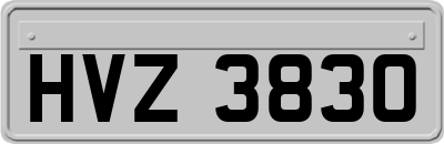 HVZ3830