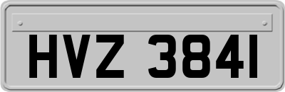 HVZ3841
