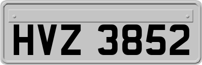 HVZ3852