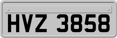 HVZ3858