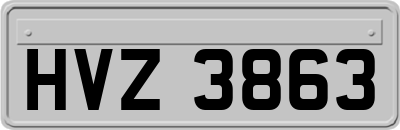 HVZ3863