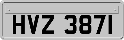 HVZ3871