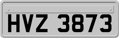 HVZ3873
