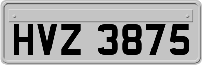 HVZ3875