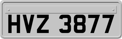 HVZ3877