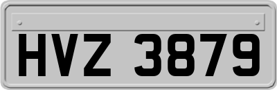 HVZ3879