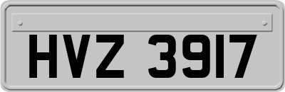 HVZ3917
