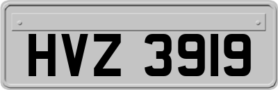 HVZ3919