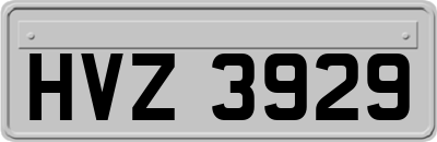HVZ3929