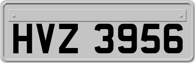 HVZ3956