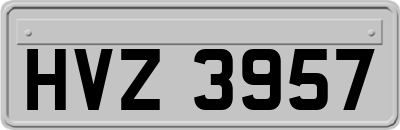 HVZ3957