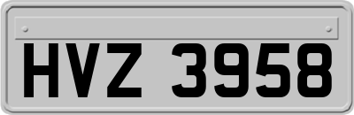 HVZ3958