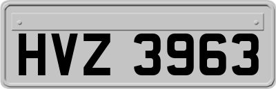 HVZ3963
