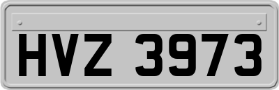 HVZ3973