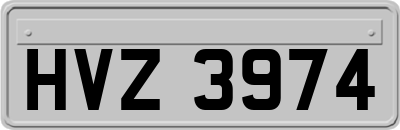 HVZ3974
