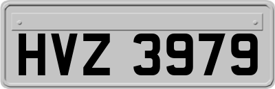 HVZ3979