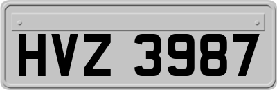 HVZ3987