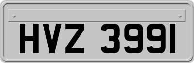 HVZ3991
