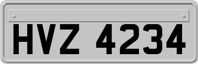 HVZ4234